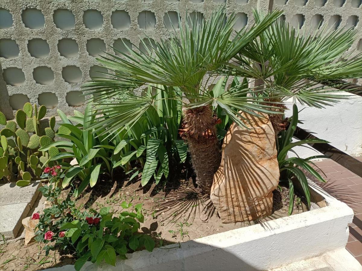 Mony'S Island B&B Alghero Exterior photo